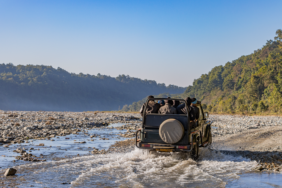 Jim Corbett Wildlife Safari